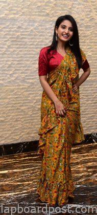 Ananya Nagalla Latest Stills From Vakeel Saab Movie Maguva Ne Vijayam Event2