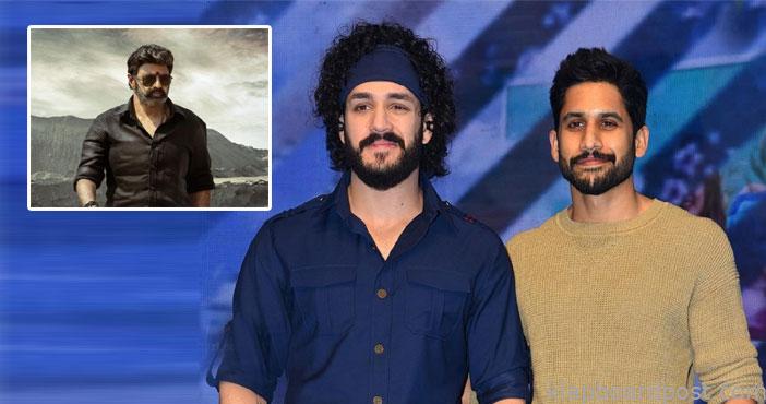 Naga chaitanya response bal