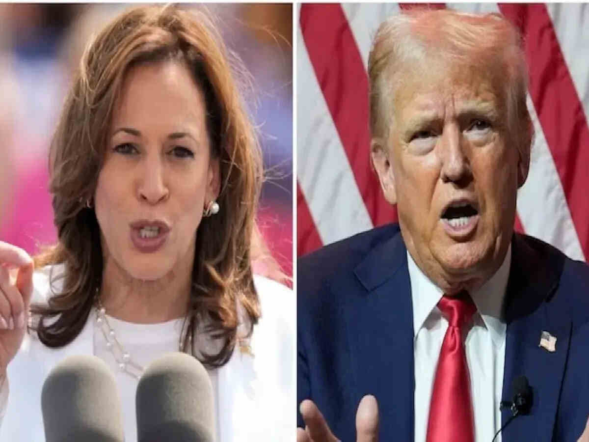 US elections 2024: Kamala Harris vs Trump – Who do Telugu voters support?