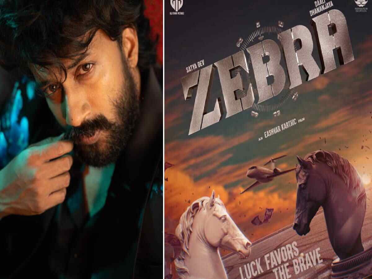 Zebra Review: A Crime Thriller That Stumbles or Soars?